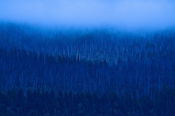 Blue Morning II