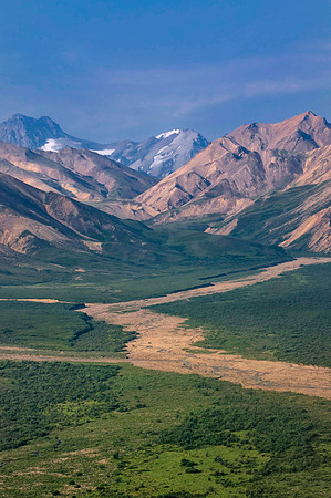 Denali Road
