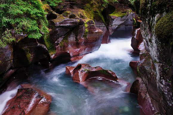Avalanche Gorge, Montana, Glacier National Park