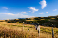 Rocky Mountain Front, Montana, Fence, Landscape