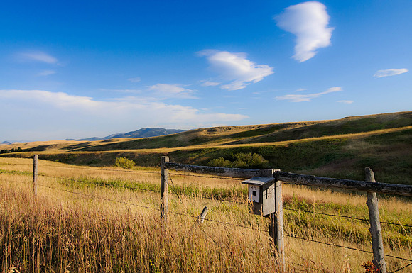 Rocky Mountain Front, Montana, Fence, Landscape